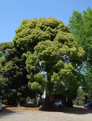 白髭神社(神奈川県)