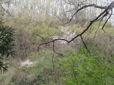 聖神社(埼玉県)