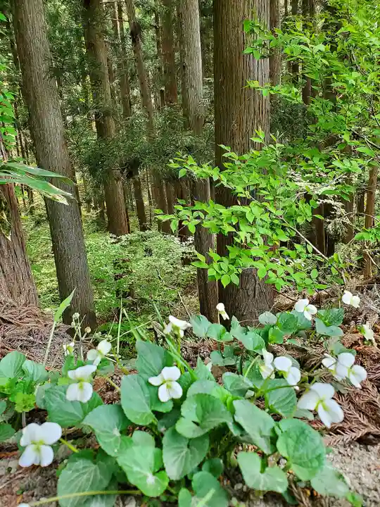 磐椅神社の自然