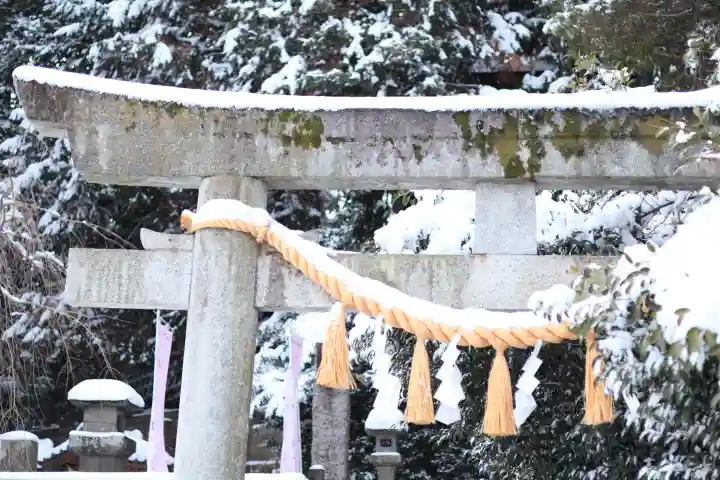 前玉神社の{uncategorized: "未分類", other: "その他", undefined: "問題あり", building: "その他建物", grave: "お墓", sacred_gate: "鳥居", guardian: "狛犬", statue: "像", buddha: "仏像", history: "歴史", nature: "自然", garden: "庭園", animal: "動物", pagoda: "塔", temizu: "手水舎", mountain_gate: "山門・神門", sanctuary: "本殿・本堂", subordinate: "末社・摂社", art: "芸術", scenery: "景色", jizo: "地蔵", ema: "絵馬", goshuin: "御朱印", omikuji: "おみくじ", items: "授与品その他", amulet: "お守り", goshuincho: "御朱印帳", eats: "食事", festival: "お祭り", votive_dance: "神楽", shichigosan: "七五三参", wedding: "結婚式", experience: "体験その他", initially: "初詣", around: "周辺", anti_infection: "感染症対策"}