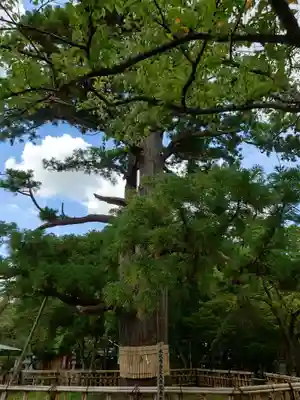 日高神社(岩手県)