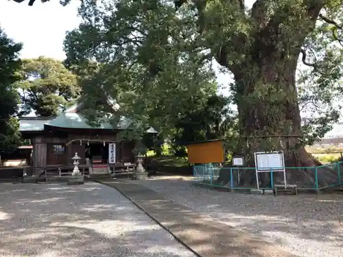 伊勢神明社の本殿・本堂