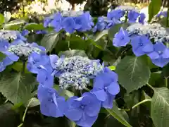 菊田神社の自然