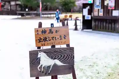 賀茂別雷神社（上賀茂神社）(京都府)