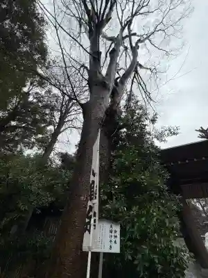 阿佐ヶ谷神明宮の{uncategorized: "未分類", other: "その他", undefined: "問題あり", building: "その他建物", grave: "お墓", sacred_gate: "鳥居", guardian: "狛犬", statue: "像", buddha: "仏像", history: "歴史", nature: "自然", garden: "庭園", animal: "動物", pagoda: "塔", temizu: "手水舎", mountain_gate: "山門・神門", sanctuary: "本殿・本堂", subordinate: "末社・摂社", art: "芸術", scenery: "景色", jizo: "地蔵", ema: "絵馬", goshuin: "御朱印", omikuji: "おみくじ", items: "授与品その他", amulet: "お守り", goshuincho: "御朱印帳", eats: "食事", festival: "お祭り", votive_dance: "神楽", shichigosan: "七五三参", wedding: "結婚式", experience: "体験その他", initially: "初詣", around: "周辺", anti_infection: "感染症対策"}