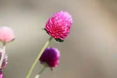 熊野福藏神社の手水舎