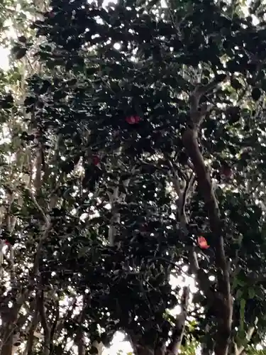 酒列磯前神社の自然