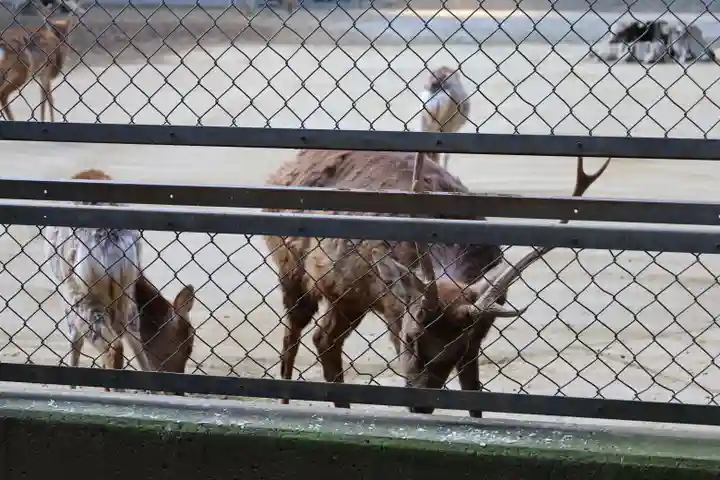 鹿島神宮(茨城県)