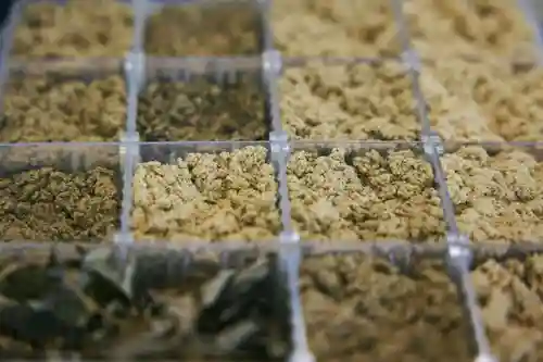 壽徳寺 じゅとくじ(福島県)