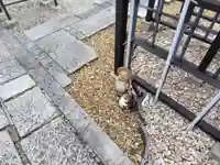 法雲寺(京都府)