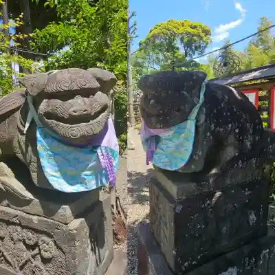 菊田神社の{uncategorized: "未分類", other: "その他", undefined: "問題あり", building: "その他建物", grave: "お墓", sacred_gate: "鳥居", guardian: "狛犬", statue: "像", buddha: "仏像", history: "歴史", nature: "自然", garden: "庭園", animal: "動物", pagoda: "塔", temizu: "手水舎", mountain_gate: "山門・神門", sanctuary: "本殿・本堂", subordinate: "末社・摂社", art: "芸術", scenery: "景色", jizo: "地蔵", ema: "絵馬", goshuin: "御朱印", omikuji: "おみくじ", items: "授与品その他", amulet: "お守り", goshuincho: "御朱印帳", eats: "食事", festival: "お祭り", votive_dance: "神楽", shichigosan: "七五三参", wedding: "結婚式", experience: "体験その他", initially: "初詣", around: "周辺", anti_infection: "感染症対策"}