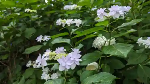 真正極楽寺（真如堂）(京都府)