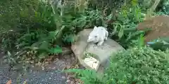 岡崎神社の狛犬