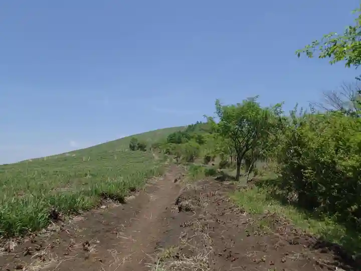 諏訪神社奥宮の自然