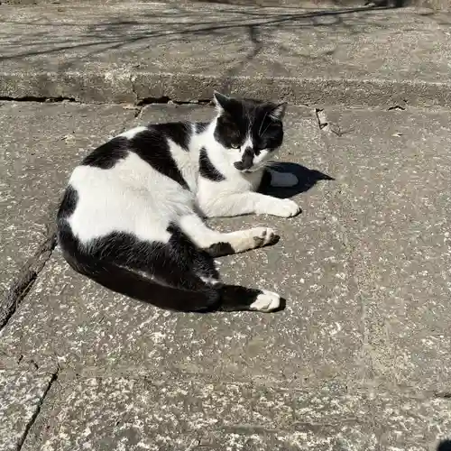 大綱金刀比羅神社(神奈川県)