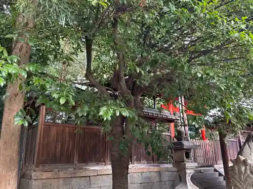 杵築神社(奈良県)