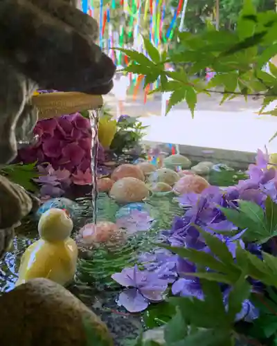 滑川神社 - 仕事と子どもの守り神の手水舎