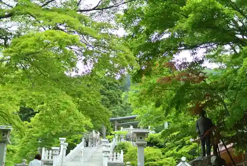 大山阿夫利神社(神奈川県)