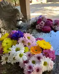 滑川神社 - 仕事と子どもの守り神の手水