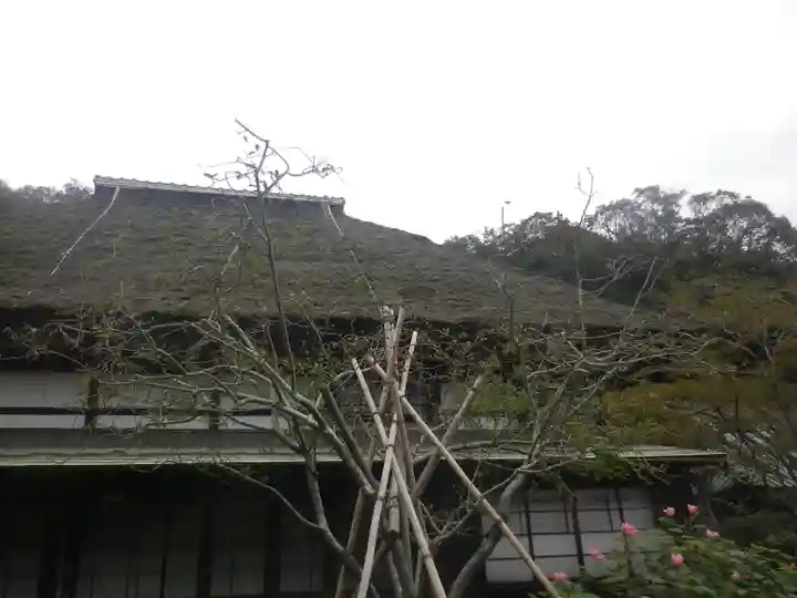 海蔵寺(神奈川県)