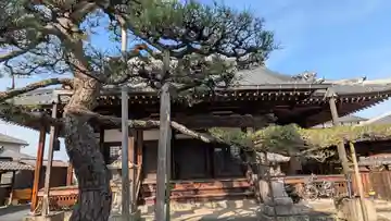 淨顯寺(浄顕寺)(滋賀県)