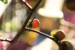 豊景神社の自然