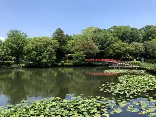 早水神社の庭園