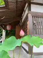 持寳院(多氣山不動尊)(栃木県)