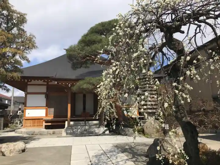 普門寺(東京都)