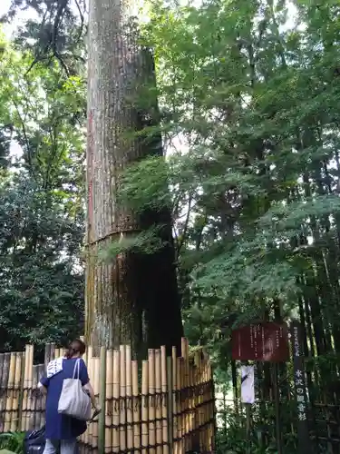 水澤寺(水澤観世音)(群馬県)