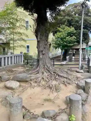 岩淵八雲神社(東京都)