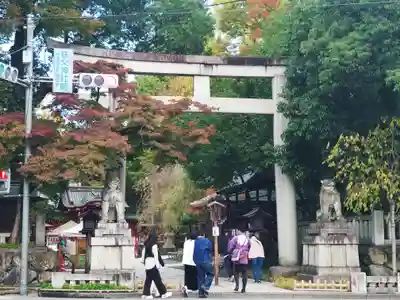秩父神社の鳥居