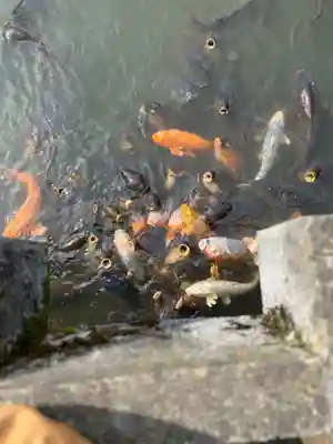 伊佐須美神社(福島県)