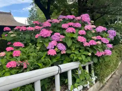 性海寺(愛知県)