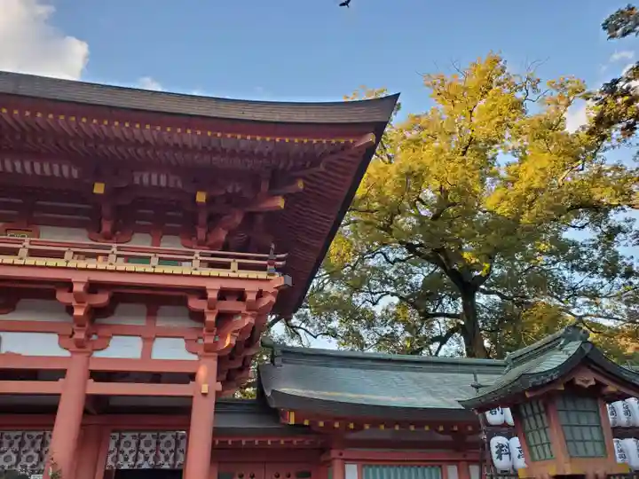 武蔵一宮氷川神社(埼玉県)