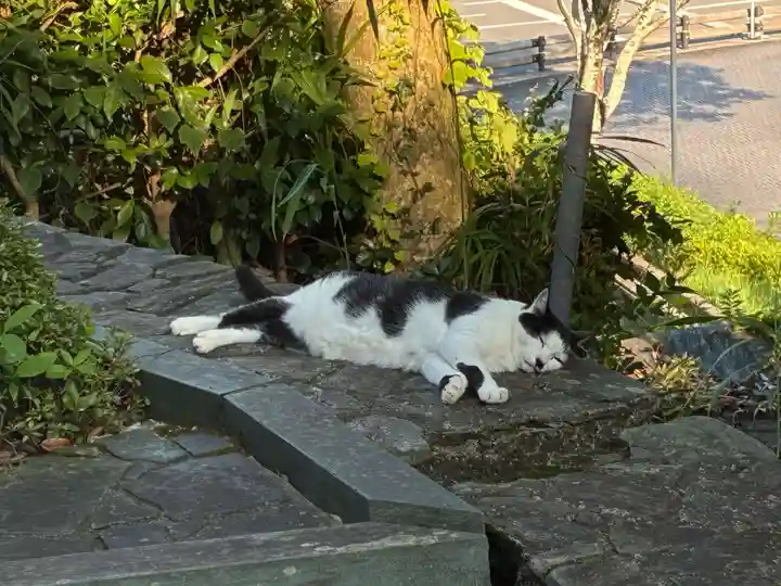 王子神社(徳島県)