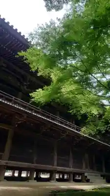 圓教寺(兵庫県)