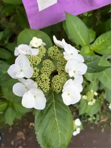 龍宮（江島神社）(神奈川県)