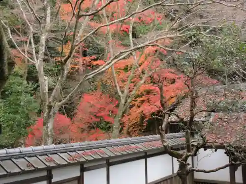 毘沙門堂門跡(京都府)