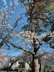 糠部神社の自然