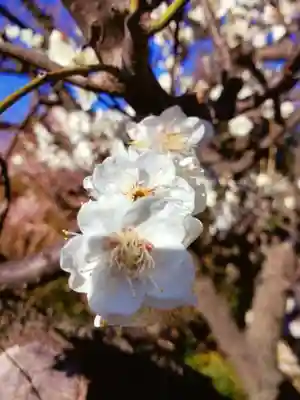 瑞円寺(東京都)