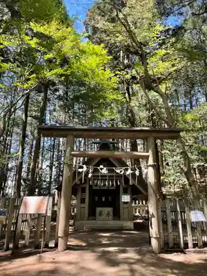 宝登山神社奥宮の鳥居