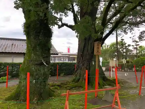 美奈宜神社の自然