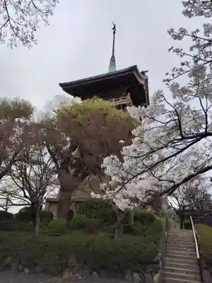 大雲院(京都府)