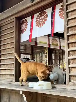 伊佐須美神社(福島県)
