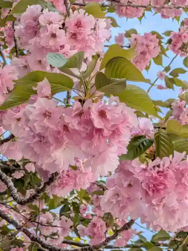 荘厳寺(東京都)
