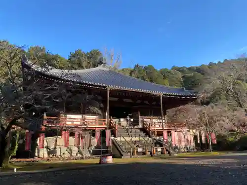 醍醐寺(京都府)