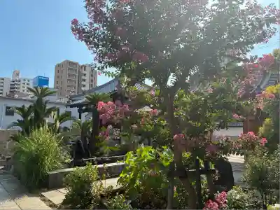 誓安寺(大阪府)