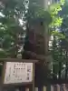 天岩戸神社の{uncategorized: "未分類", other: "その他", undefined: "問題あり", building: "その他建物", grave: "お墓", sacred_gate: "鳥居", guardian: "狛犬", statue: "像", buddha: "仏像", history: "歴史", nature: "自然", garden: "庭園", animal: "動物", pagoda: "塔", temizu: "手水舎", mountain_gate: "山門・神門", sanctuary: "本殿・本堂", subordinate: "末社・摂社", art: "芸術", scenery: "景色", jizo: "地蔵", ema: "絵馬", goshuin: "御朱印", omikuji: "おみくじ", items: "授与品その他", amulet: "お守り", goshuincho: "御朱印帳", eats: "食事", festival: "お祭り", votive_dance: "神楽", shichigosan: "七五三参", wedding: "結婚式", experience: "体験その他", initially: "初詣", around: "周辺", anti_infection: "感染症対策"}