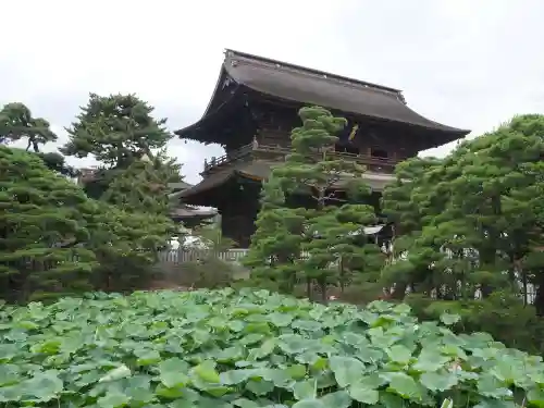 善光寺の庭園